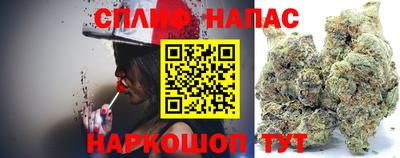 сатива Боровичи