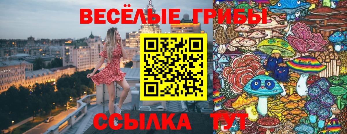 Галлюциногенные грибы Psilocybe  Псилоцибиновые грибы мицелий  Крымск  Вход с VPN 