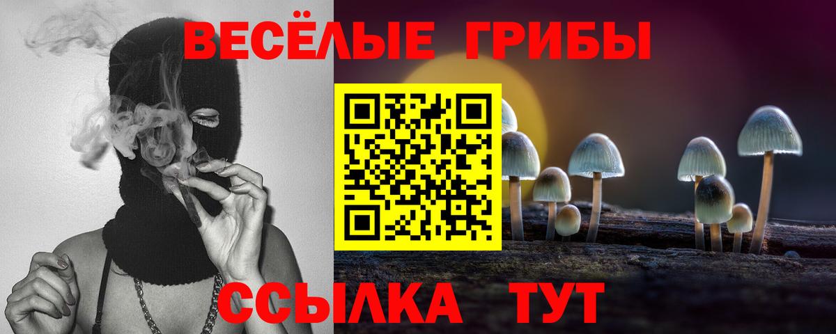 Псилоцибиновые грибы MAGIC MUSHROOMS Крымск